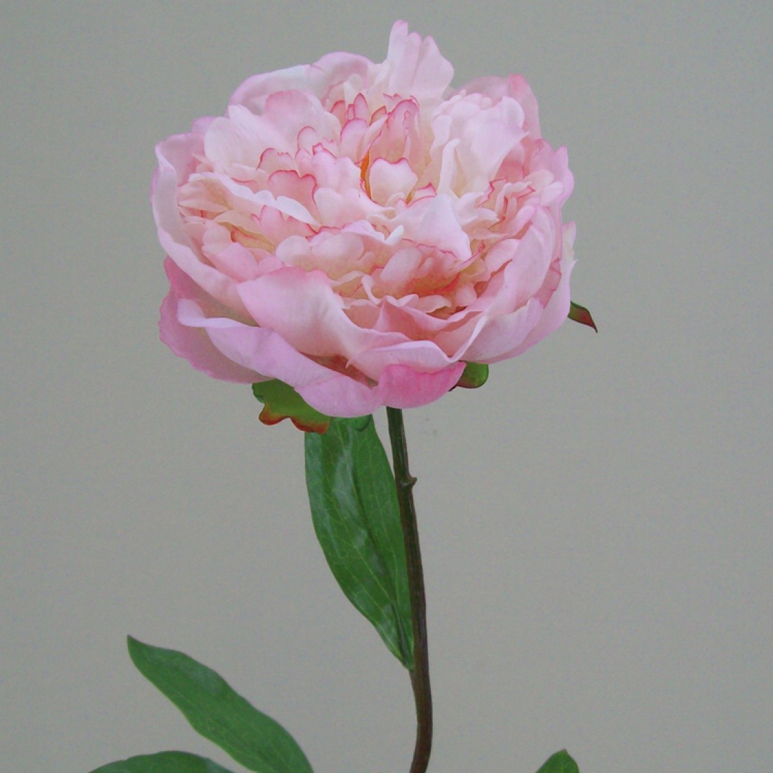 Real Touch Peony Flowers Pink Artificial Flowers